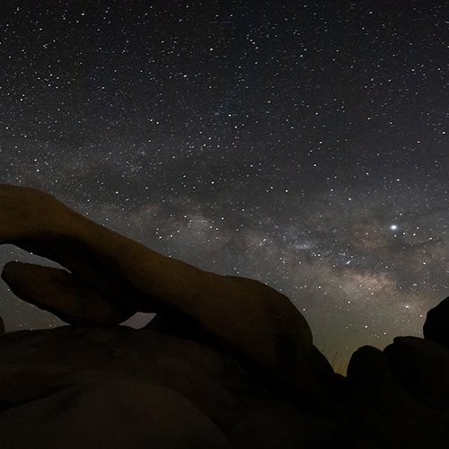 Joshua Tree - May 8, 2019